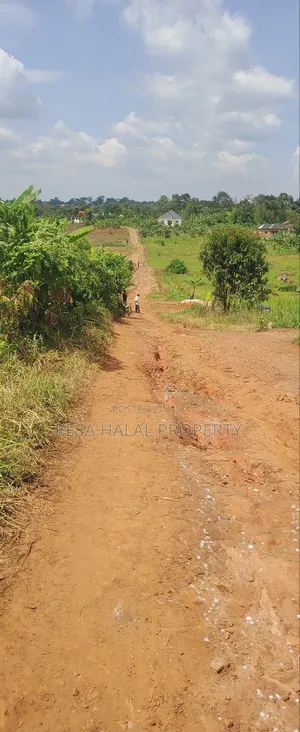 Good Commercial 15 Acres After Migade on Bombo Rd Good for Real Estate