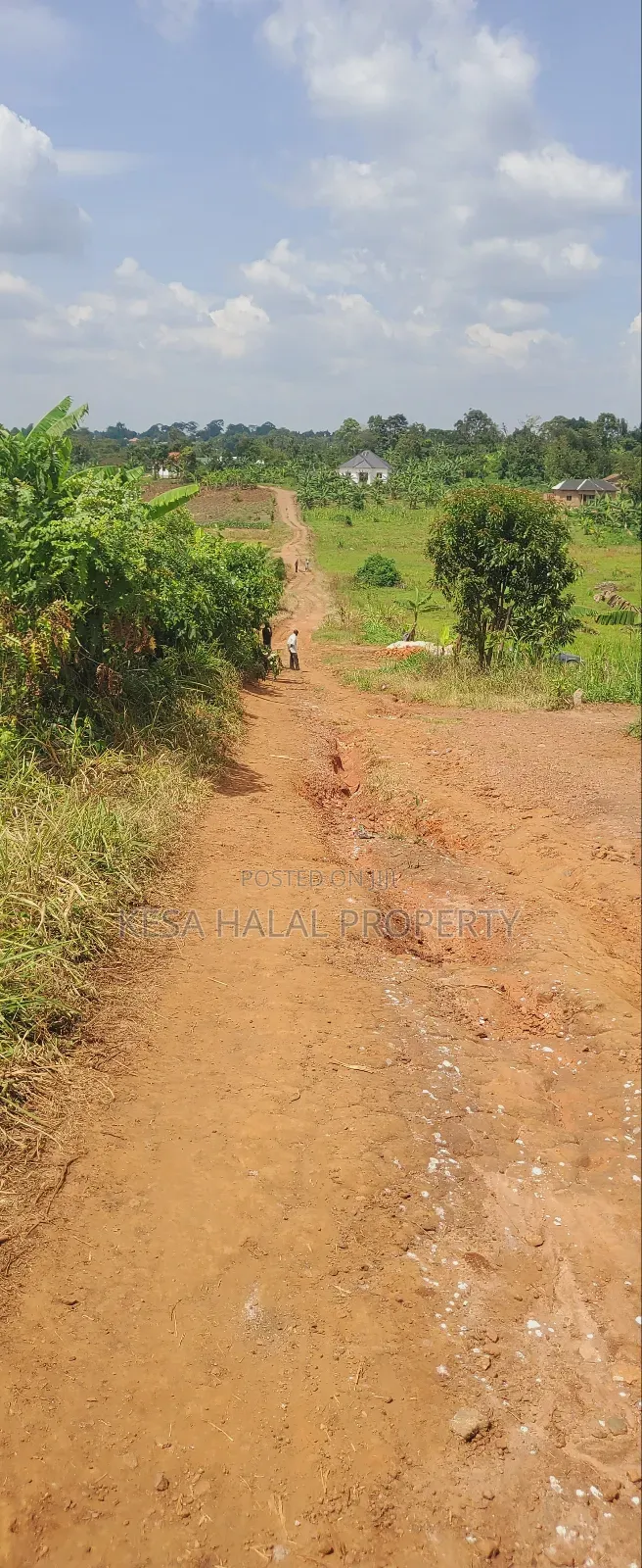 Good Commercial 15 Acres After Migade on Bombo Rd Good for Real Estate