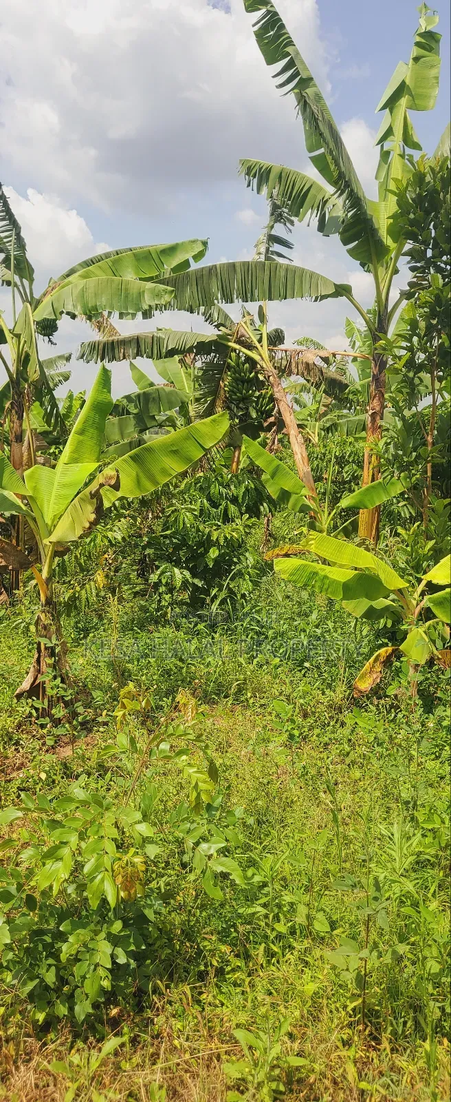 Good Commercial 15 Acres After Migade on Bombo Rd Good for Real Estate