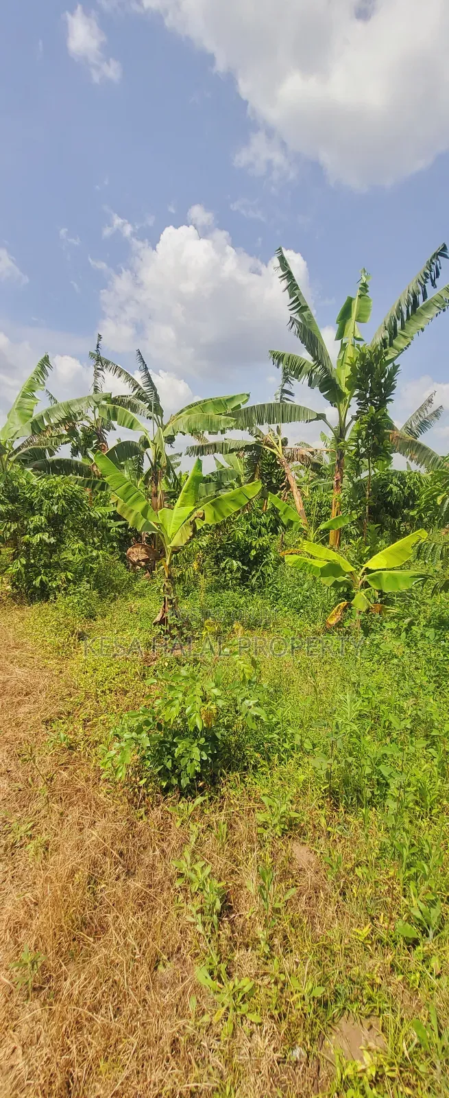 Good Commercial 15 Acres After Migade on Bombo Rd Good for Real Estate
