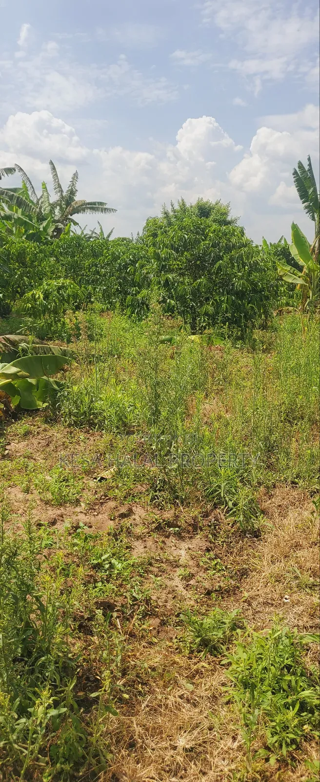 Good Commercial 15 Acres After Migade on Bombo Rd Good for Real Estate