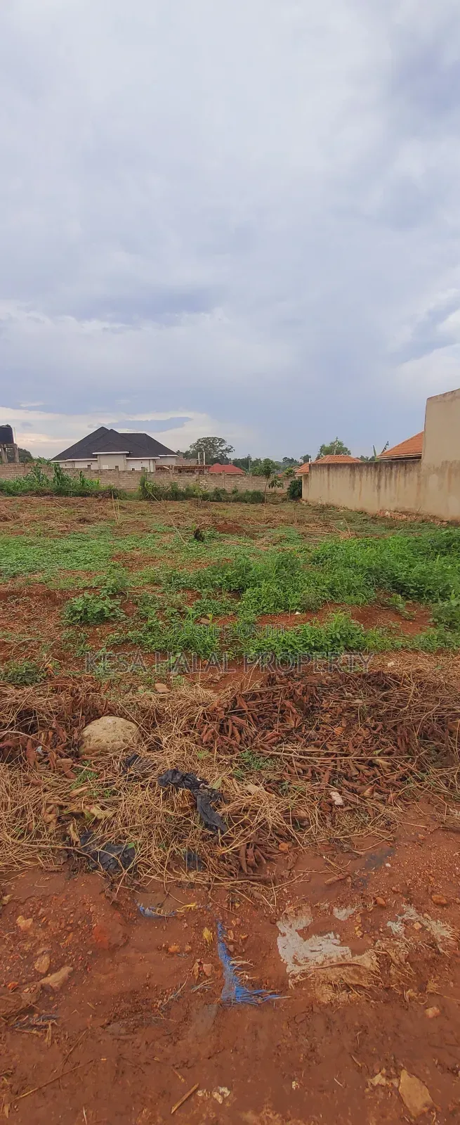 Titled 50x100 Plots Behind Kagoma in a Good Neighboring State