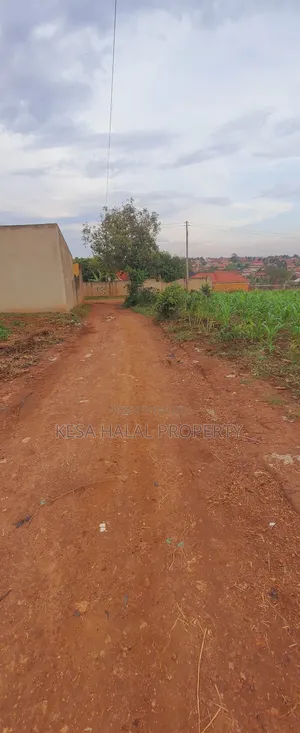 Titled 50x100 Plots Behind Kagoma in a Good Neighboring State