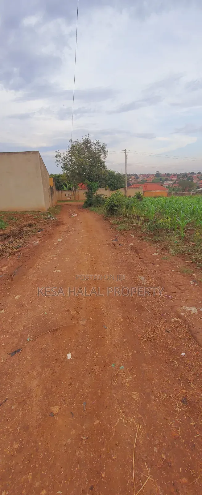 Titled 50x100 Plots Behind Kagoma in a Good Neighboring State