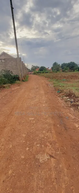 Titled 50x100 Plots Behind Kagoma in a Good Neighboring State