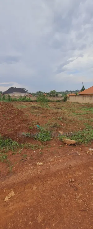 Titled 50x100 Plots Behind Kagoma in a Good Neighboring State