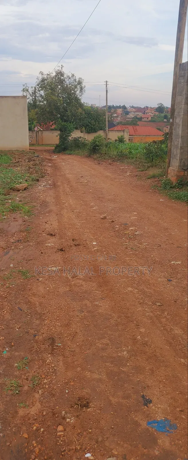 Titled 50x100 Plots Behind Kagoma in a Good Neighboring State