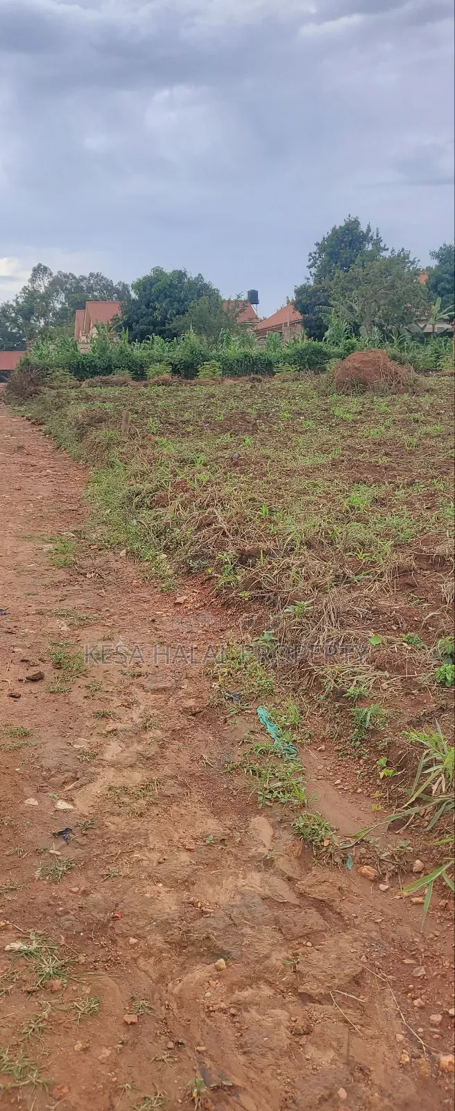 Titled 50x100 Plots Behind Kagoma in a Good Neighboring State