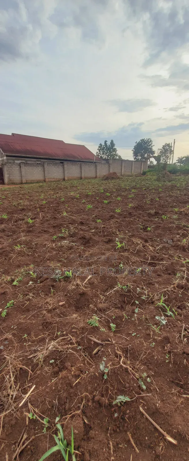 Titled 50x100 Plots Behind Kagoma in a Good Neighboring State