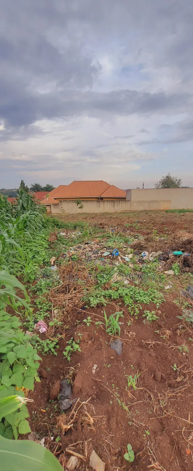Titled 50x100 Plots Behind Kagoma in a Good Neighboring State