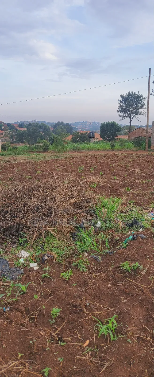 Titled 50x100 Plots Behind Kagoma in a Good Neighboring State