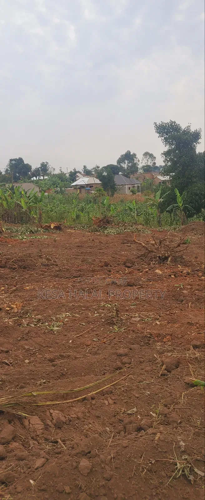 Good Plots Titled 50x100 Lwemwde Nearing Town