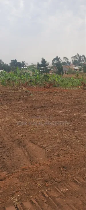 Good Plots Titled 50x100 Lwemwde Nearing Town