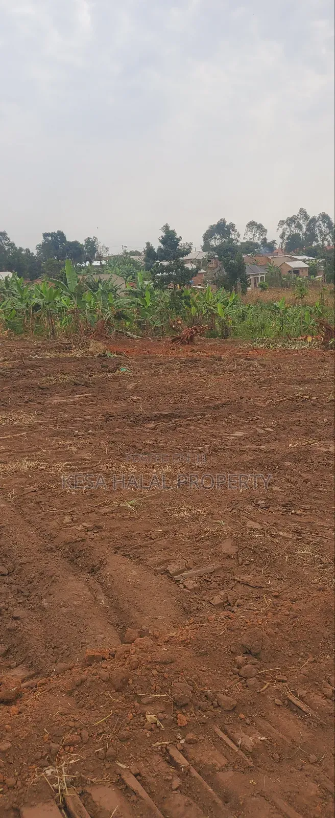 Good Plots Titled 50x100 Lwemwde Nearing Town
