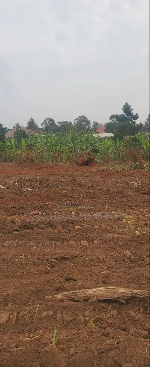Good Plots Titled 50x100 Lwemwde Nearing Town