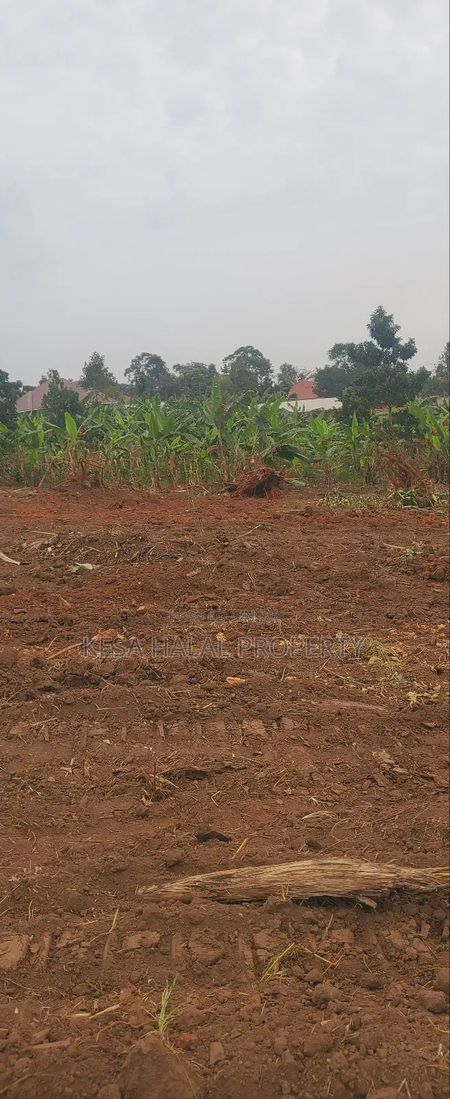 Good Plots Titled 50x100 Lwemwde Nearing Town