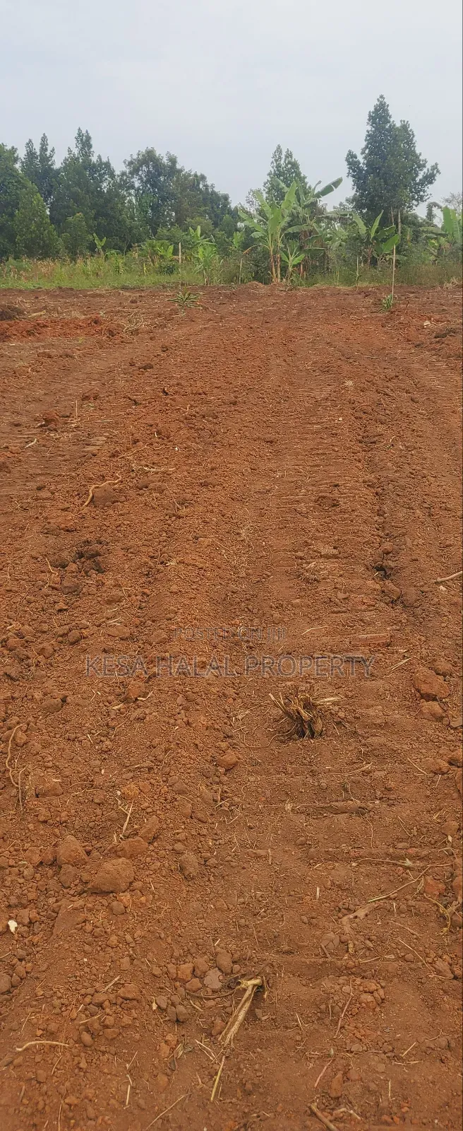 Good Plots Titled 50x100 Lwemwde Nearing Town