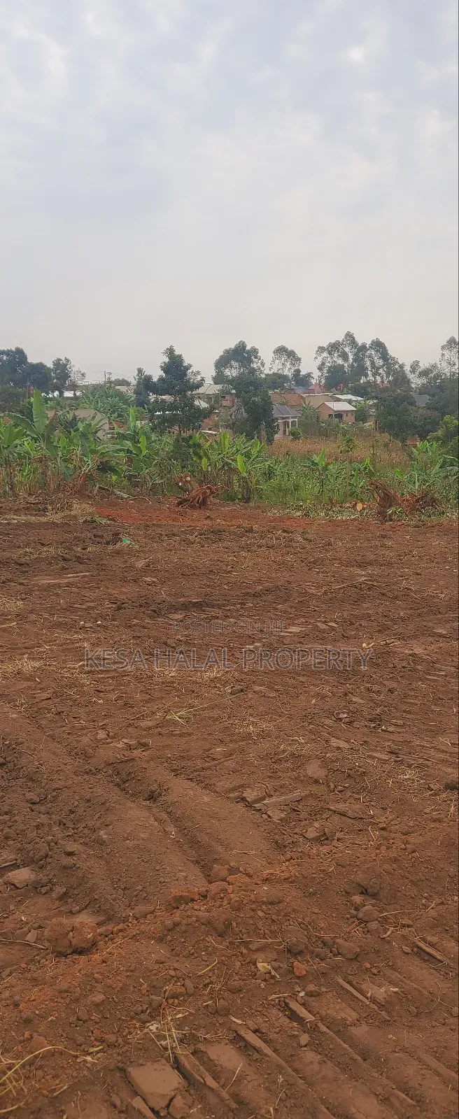 Good Plots Titled 50x100 Lwemwde Nearing Town