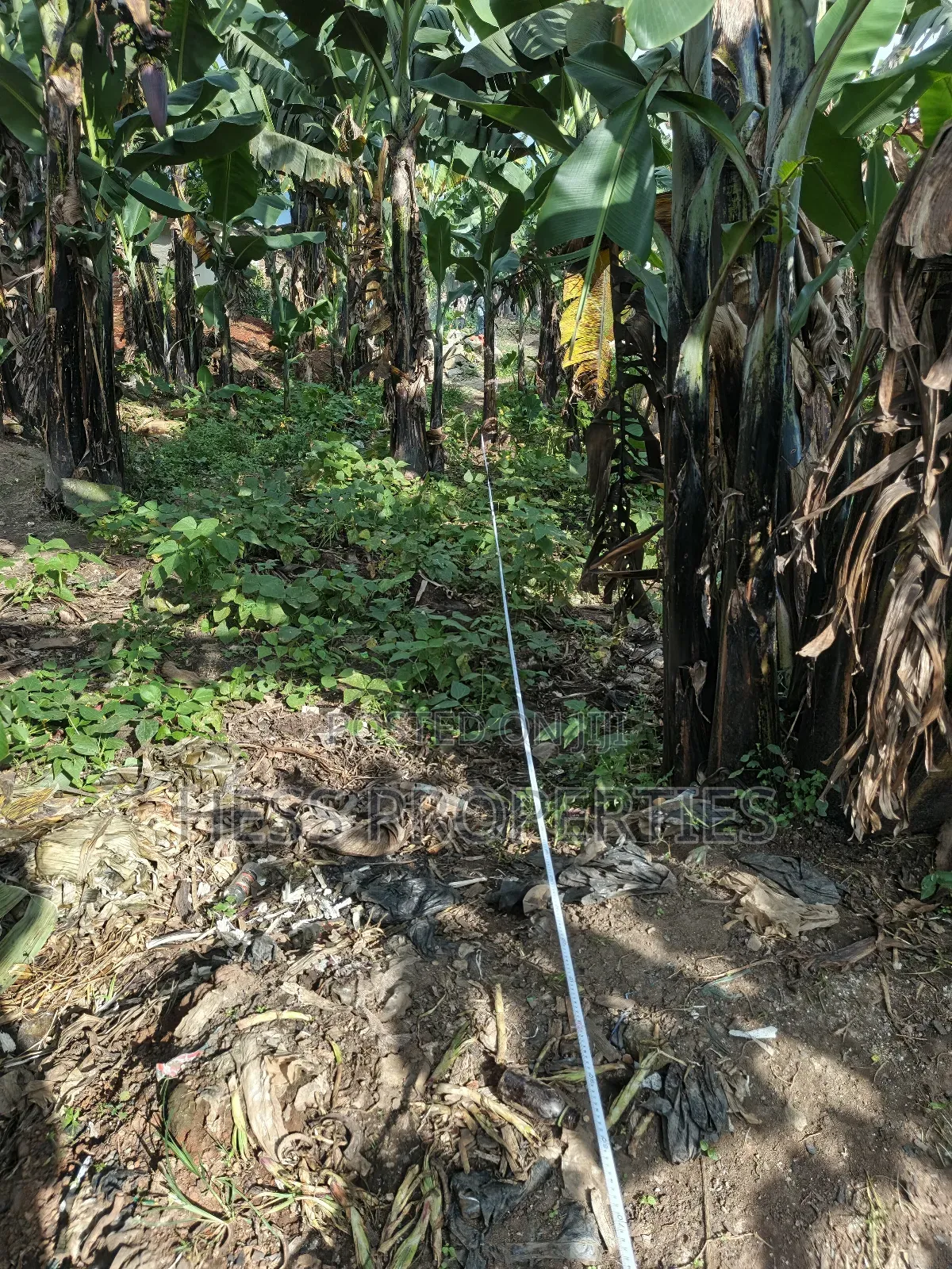 Commercial Plot on Sale