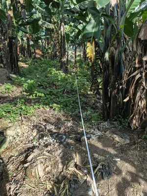 Commercial Plot on Sale