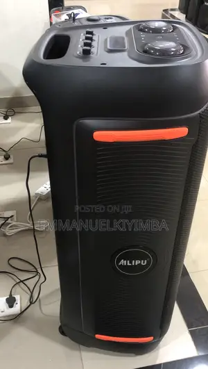 Ailipu Wh-3121d Pro Rechargeable Speaker