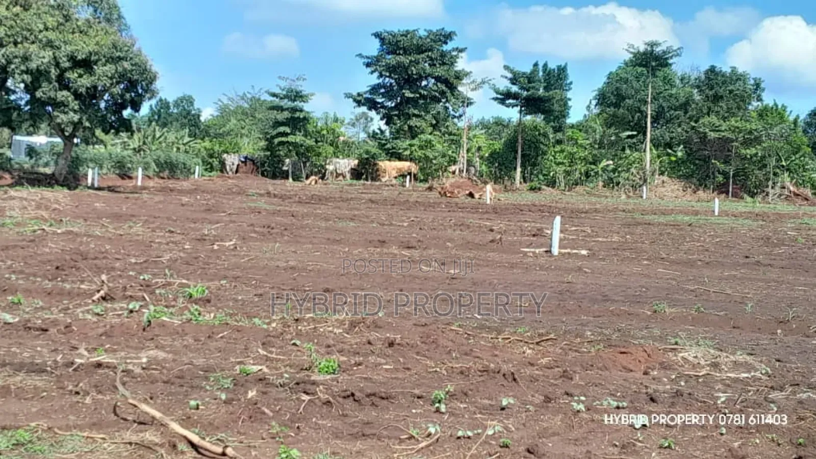 Prime Plots For Sale At Mpigi~Bubeezi Elite Land Estate~Masaka Road.