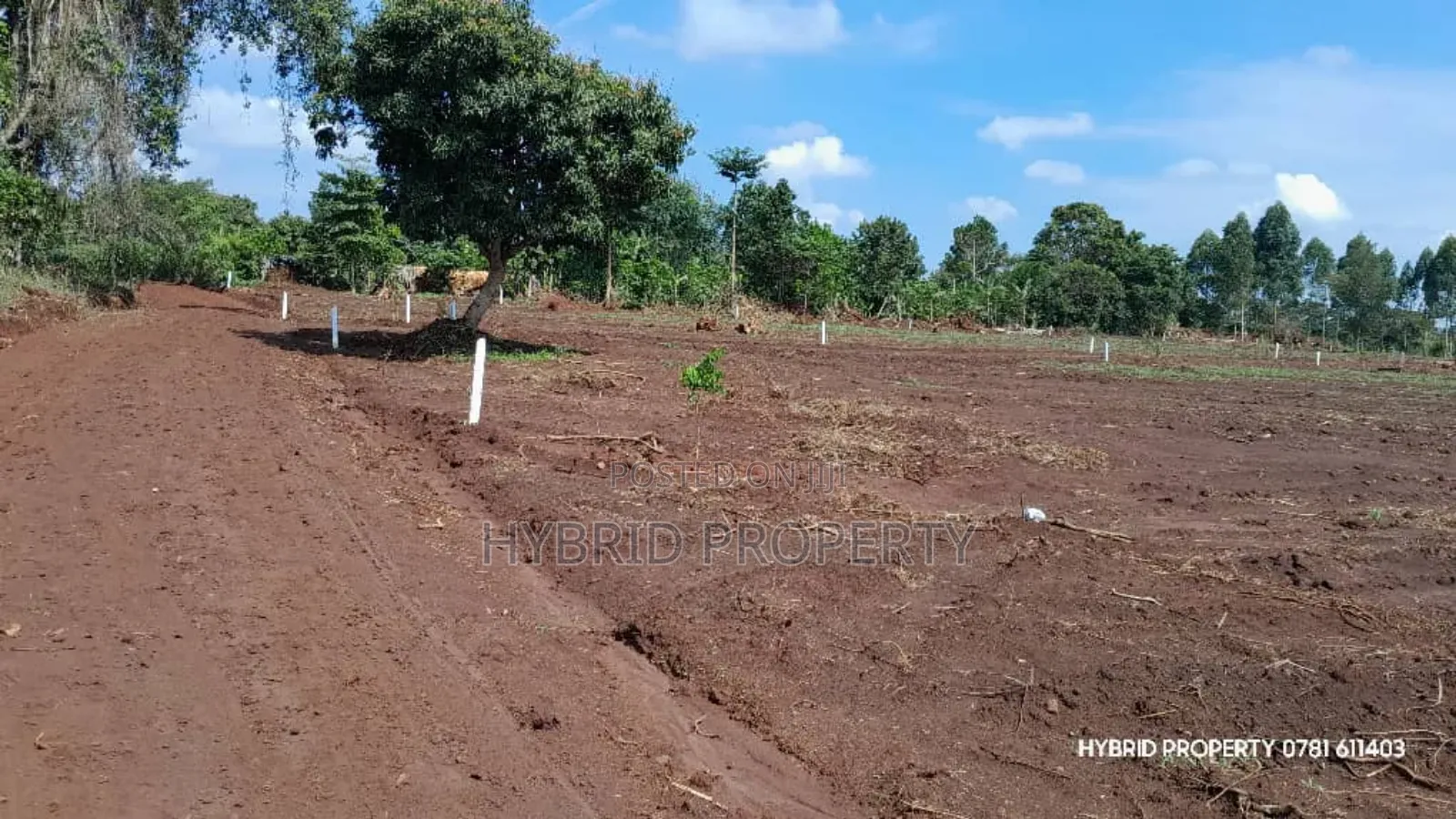 Prime Plots For Sale At Mpigi~Bubeezi Elite Land Estate~Masaka Road.