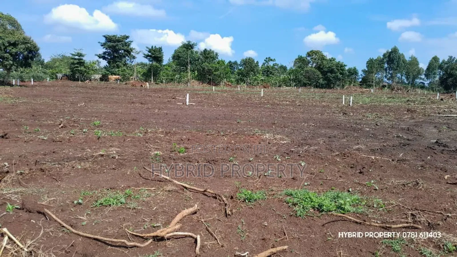 Prime Plots For Sale At Mpigi~Bubeezi Elite Land Estate~Masaka Road.