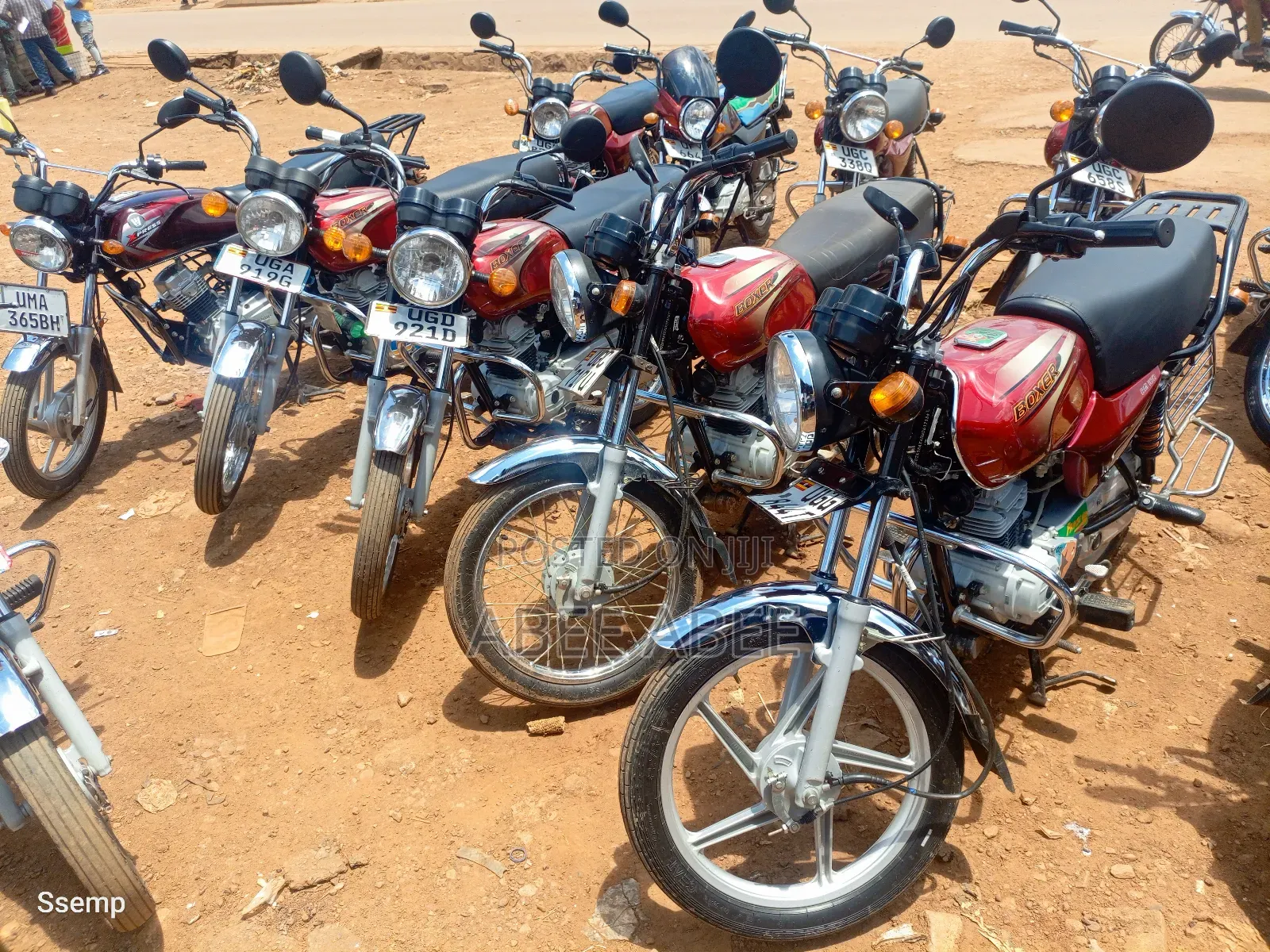 Bajaj Boxer 100 2024 Red
