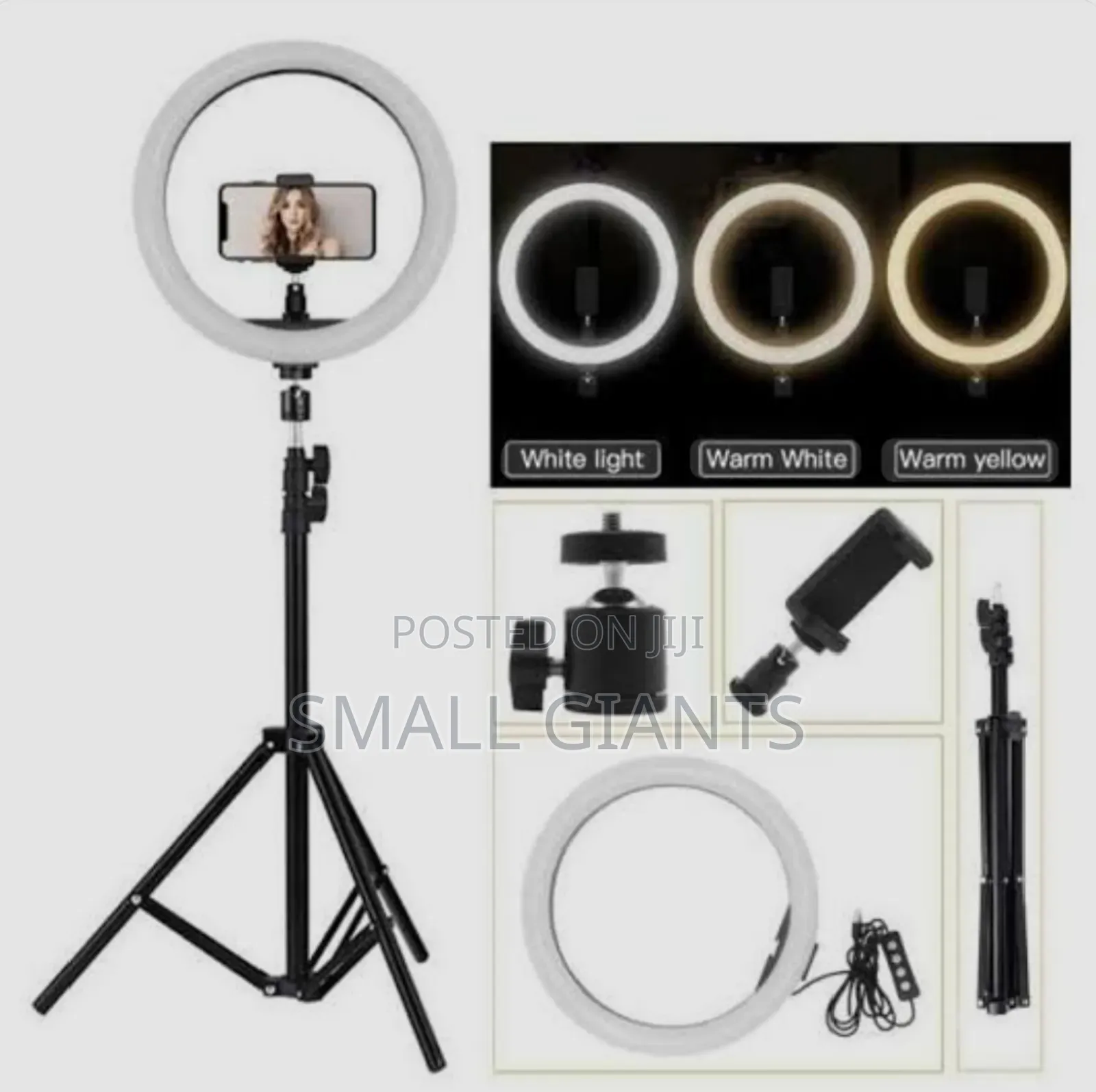 Rechargeable 12inch Ring Light