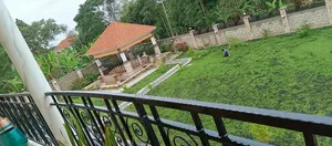 High Quality Grass, Transforming Your Yard With Lush Grass