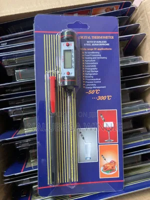 Digital Thermometer With Stainless Steel