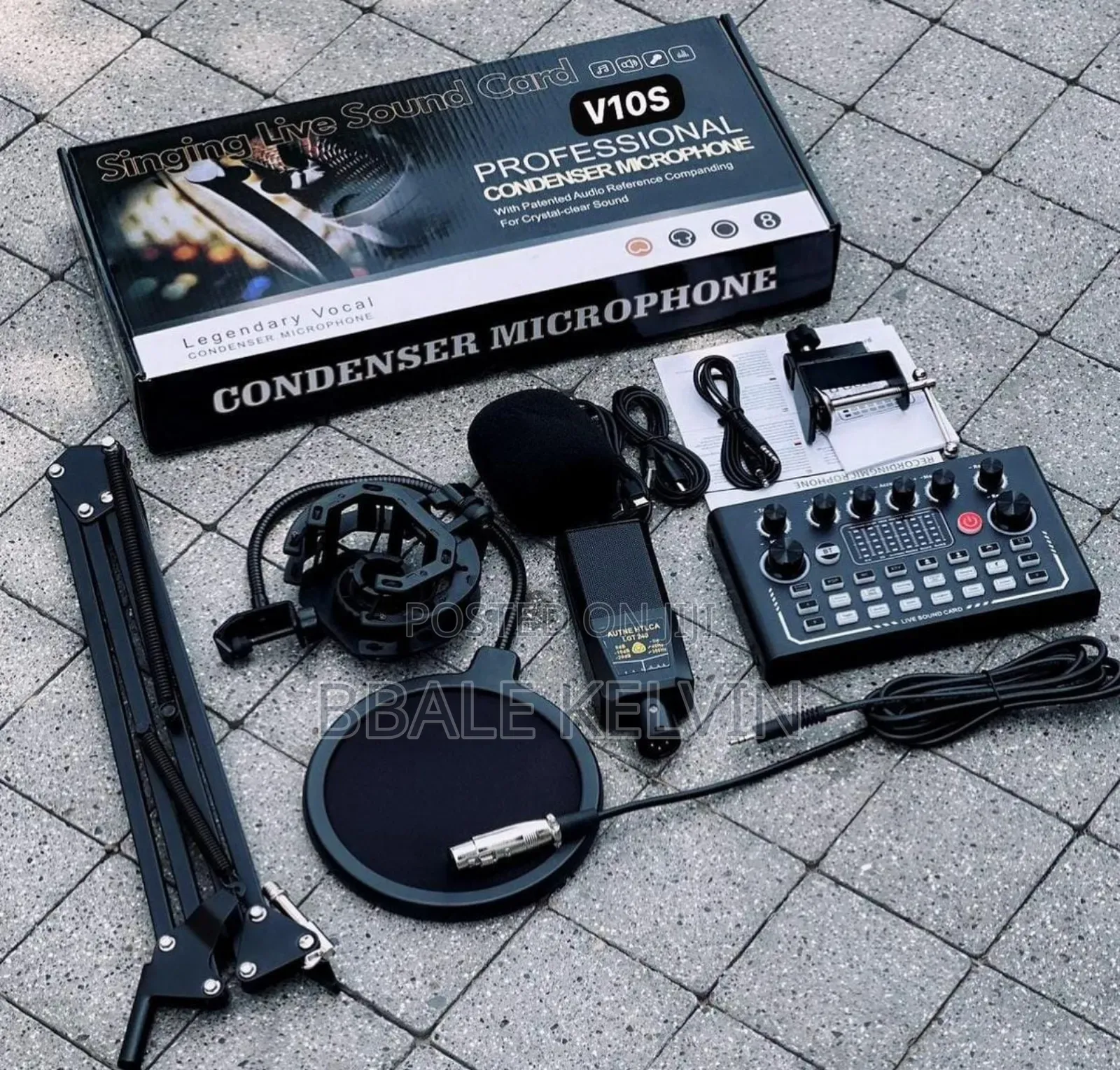 V10s Professional Condenser Microphone