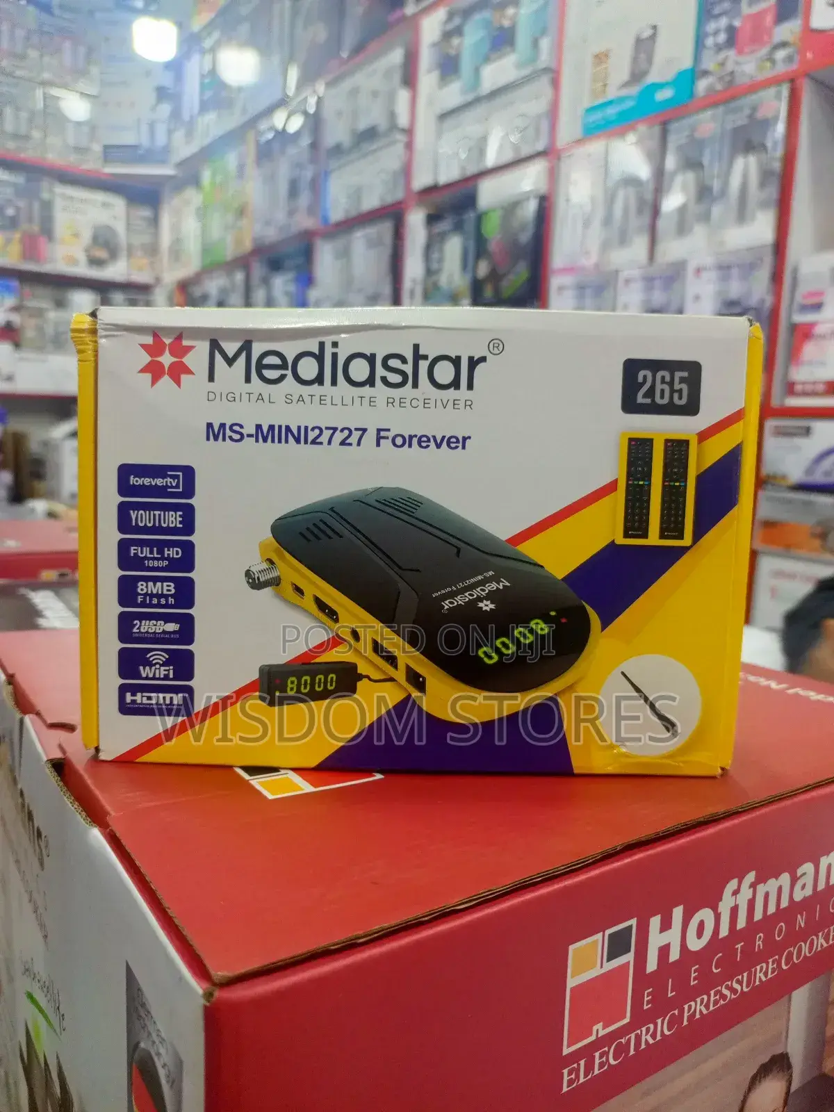 Mediastar Forever Digital Satellite Receiver.