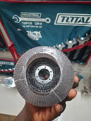Flap Disc 115mm