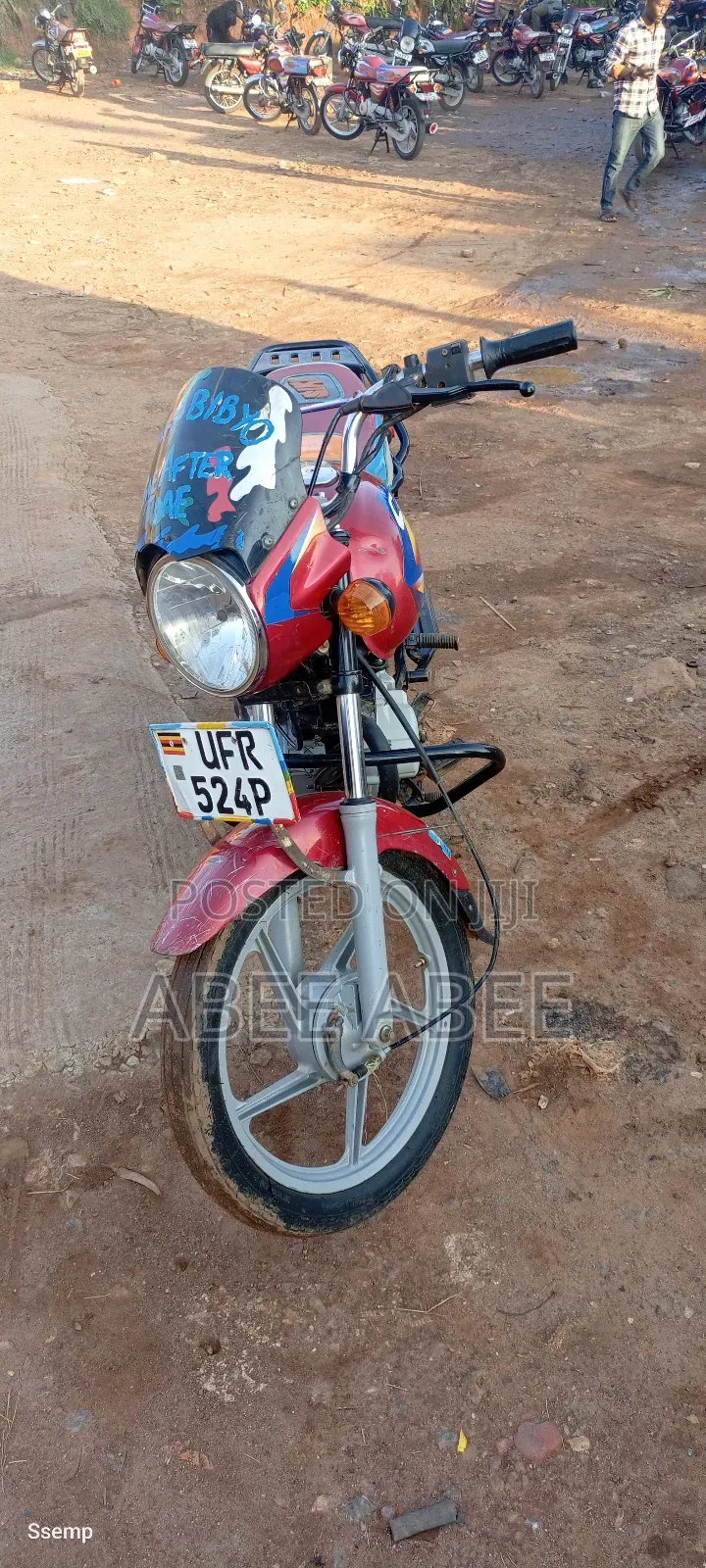 Bajaj Boxer 125 2024 Red