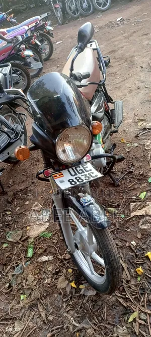 Bajaj Boxer 125 2024 Black