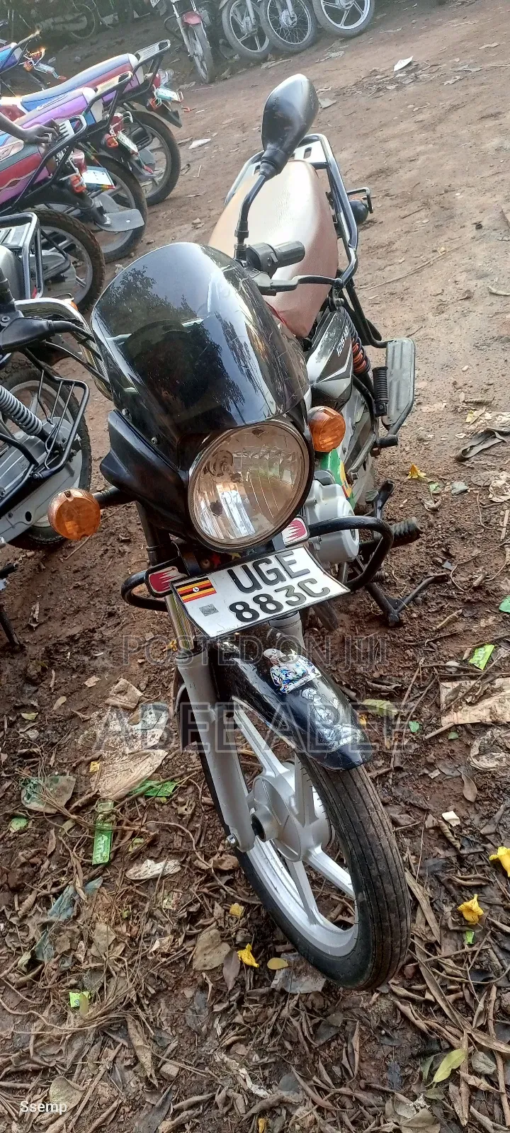 Bajaj Boxer 125 2024 Black