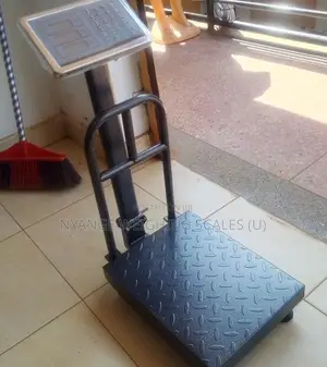 Store Keeping Weighing Scale 100kg Weigh Digital Platform Weigh Scale
