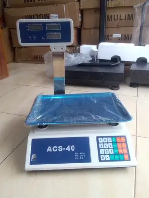 Hot Sale Weigh Digital Weighing Portable Counter Weighing Scale 30kg/2
