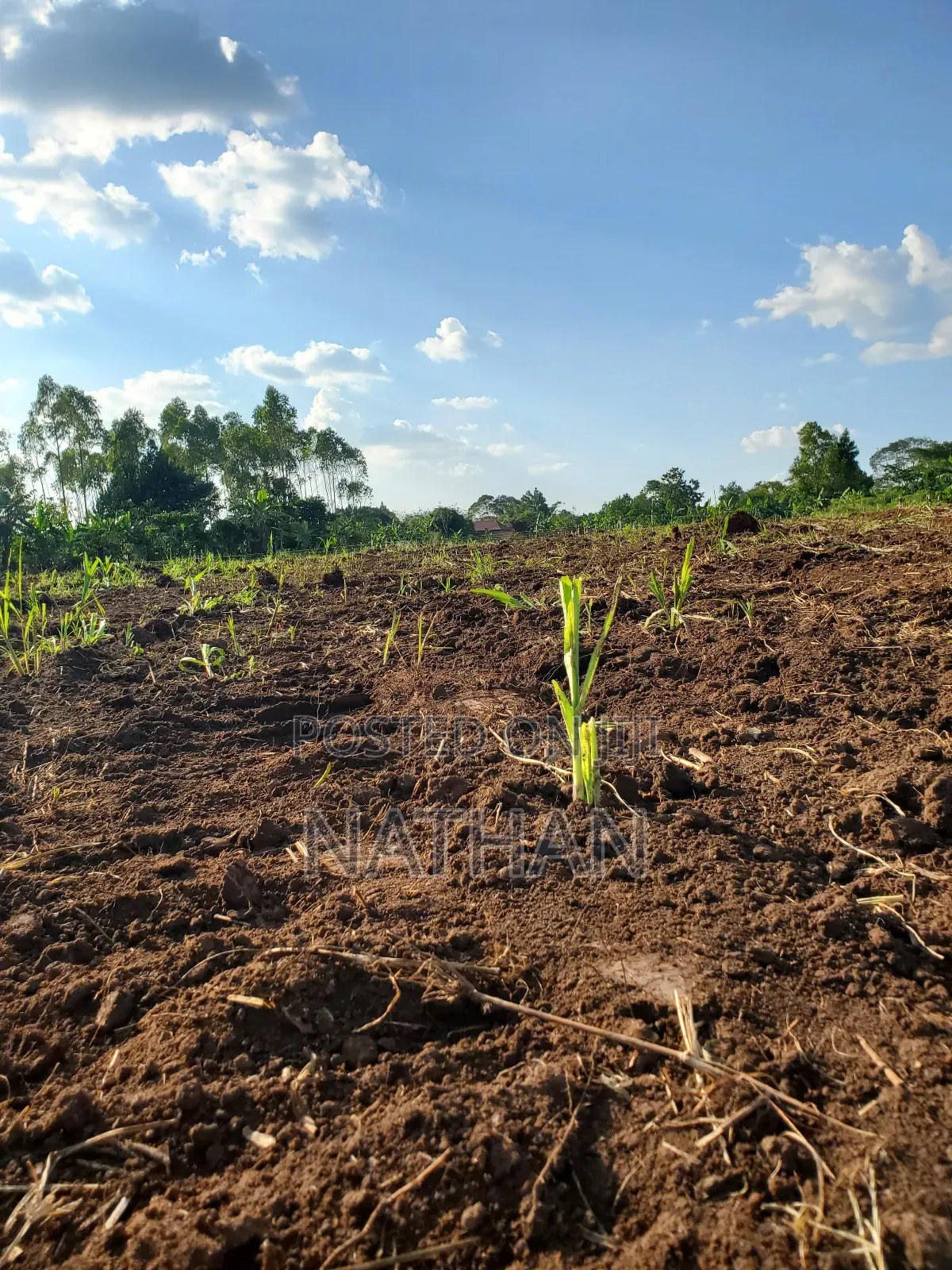 Owning Land Safely Is Only Done With Century Property Real Estate LTD