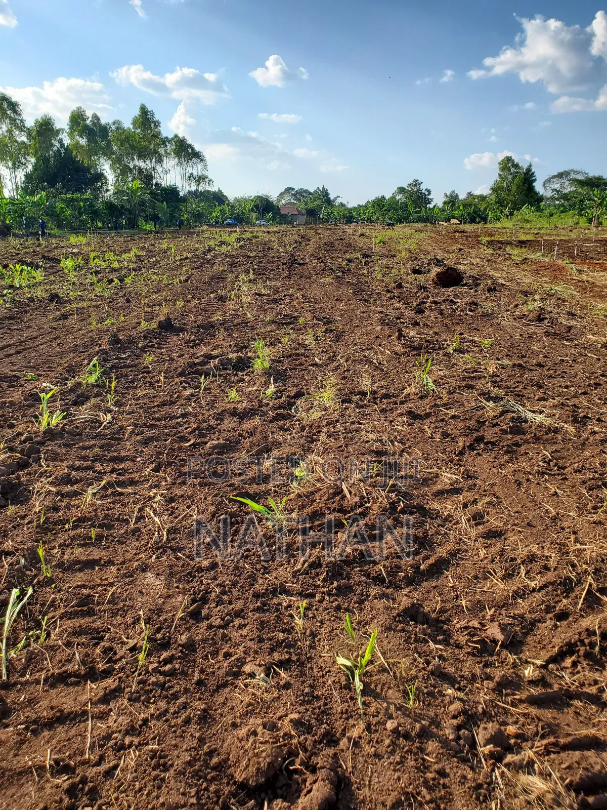 Owning Land Safely Is Only Done With Century Property Real Estate LTD