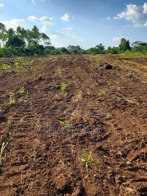 Owning Land Safely Is Only Done With Century Property Real Estate LTD