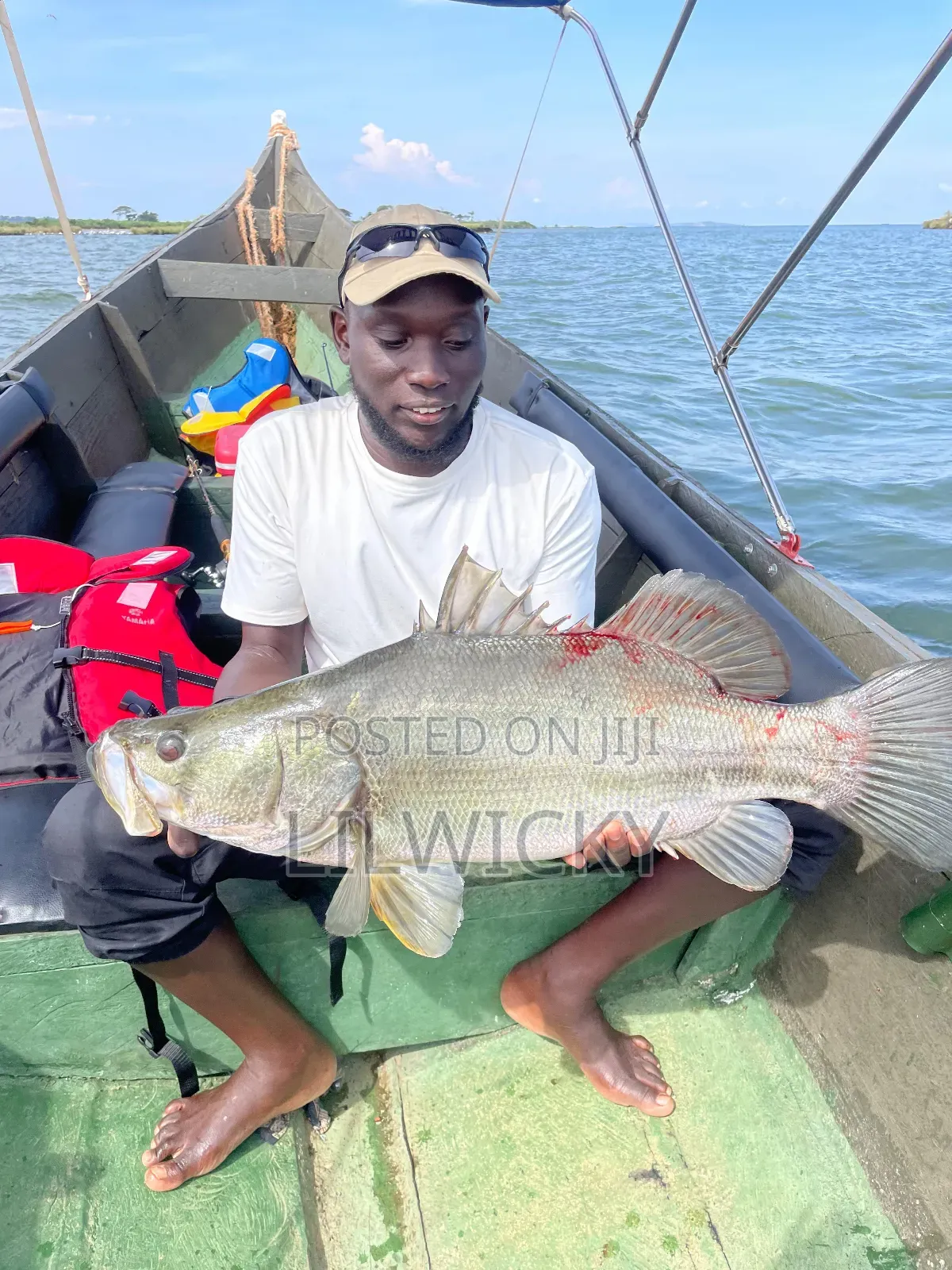 Sport Fishing Tours
