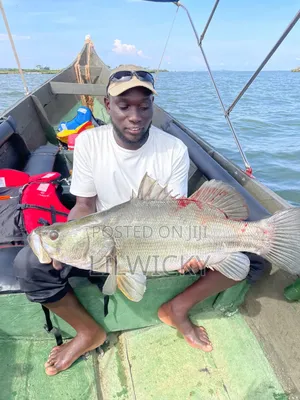 Sport Fishing Tours