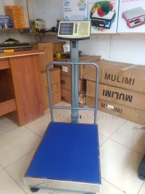 Electronic Platform Weigh Scale Industrial Electronic Weighing Scal