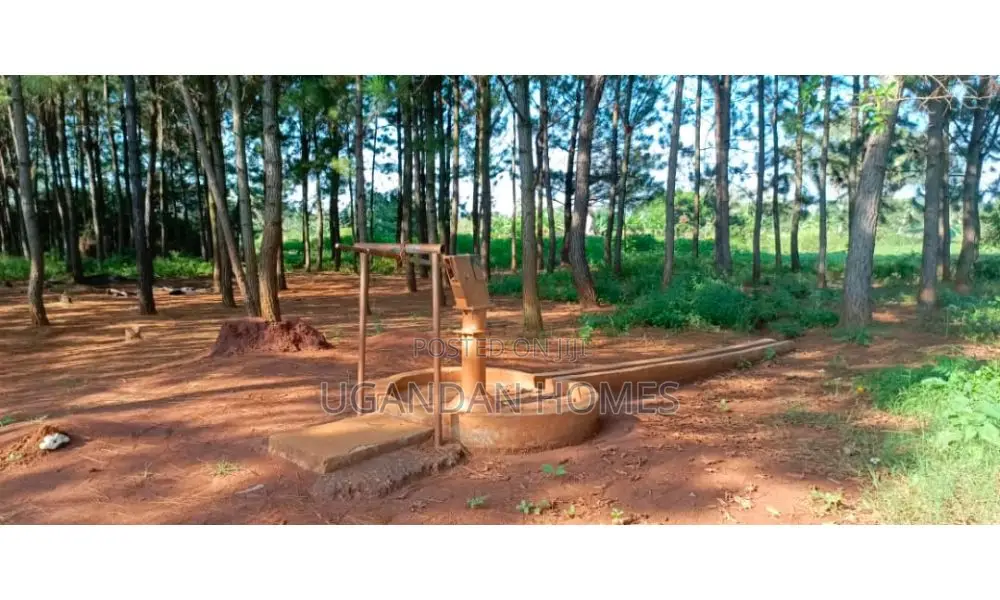 6 Acres of Land in Dokolo With Incomplete Warehouse
