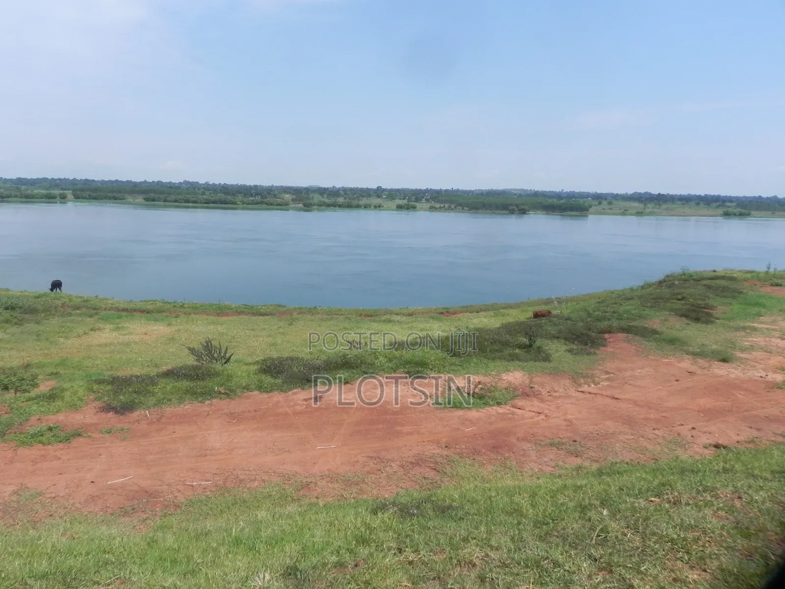 3 Acres Touching the River Nile for Sale – Matumu, Kamuli, Ugx I 120m