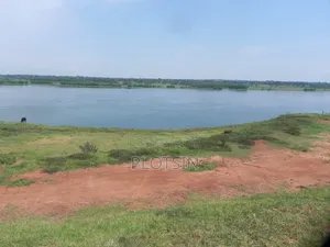 3 Acres Touching the River Nile for Sale – Matumu, Kamuli, Ugx I 120m