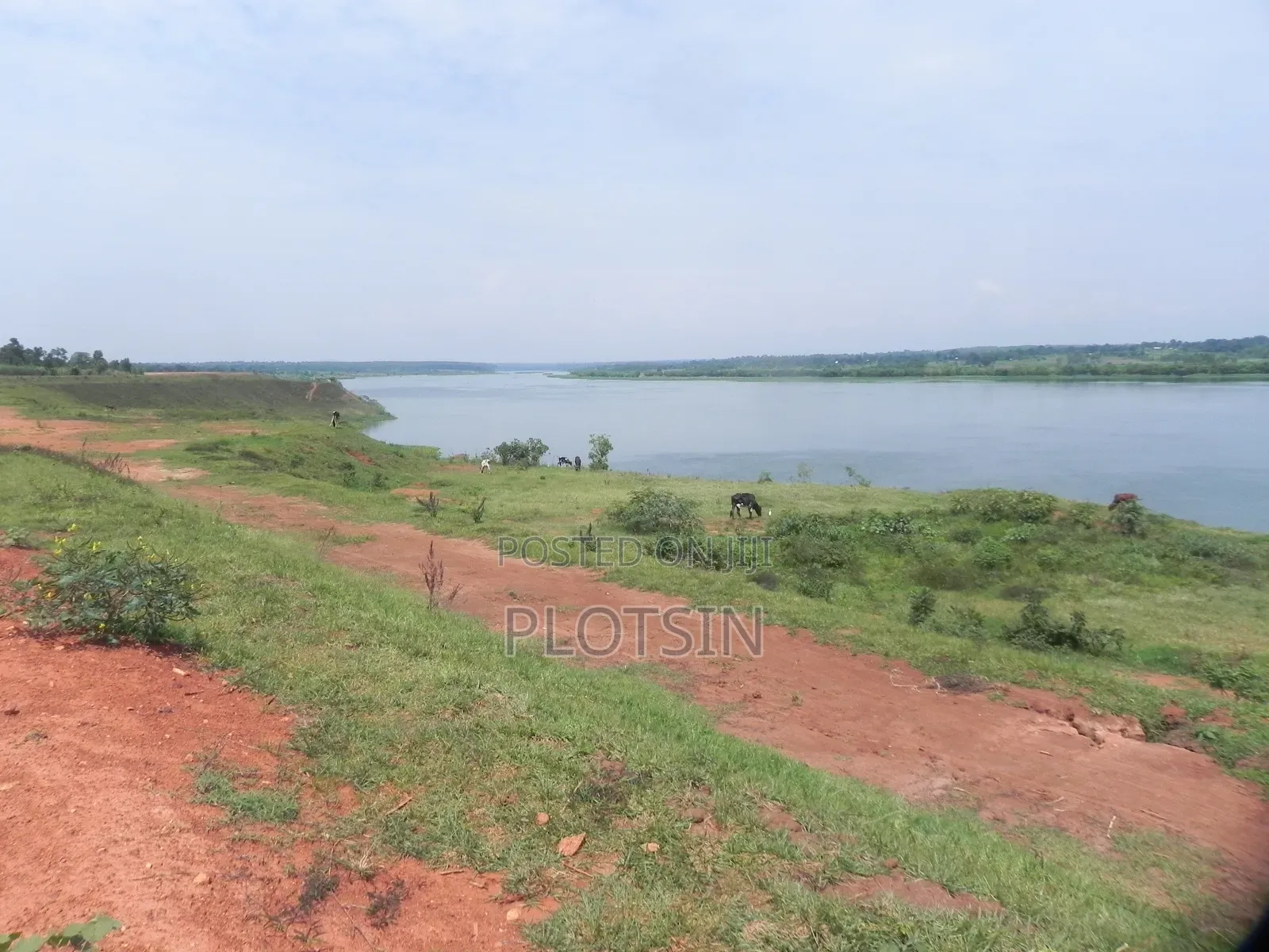 3 Acres Touching the River Nile for Sale – Matumu, Kamuli, Ugx I 120m